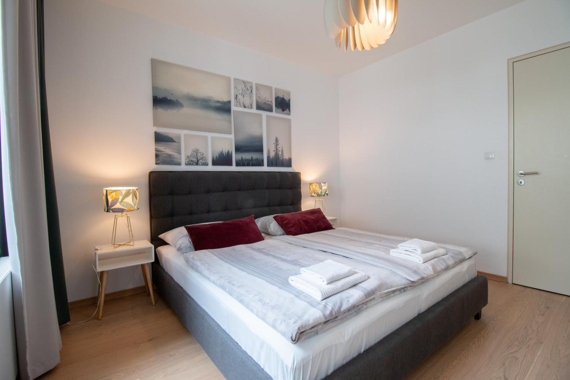 Krakovska Cr Apartments Prague Room photo
